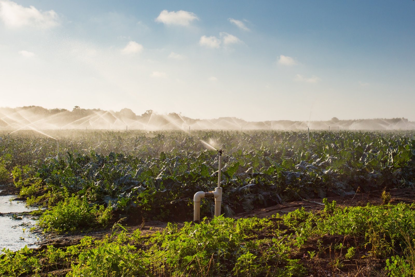 Crop Sprayers in Action