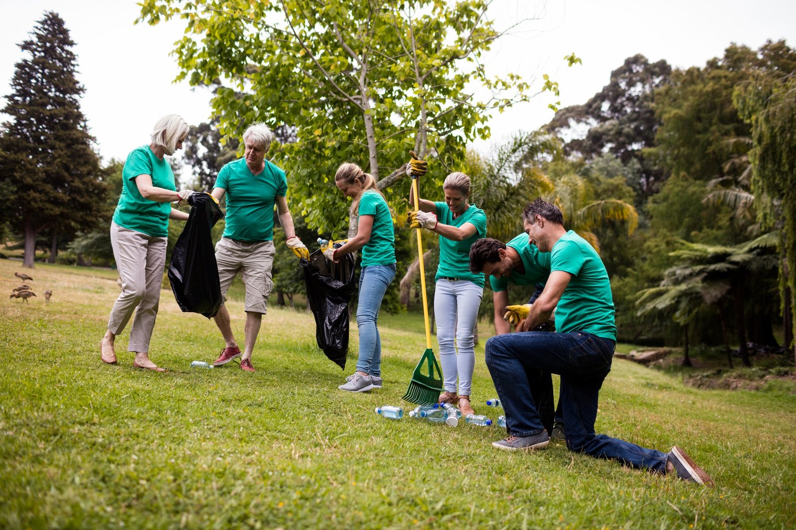 Team of volunteers picking up litter